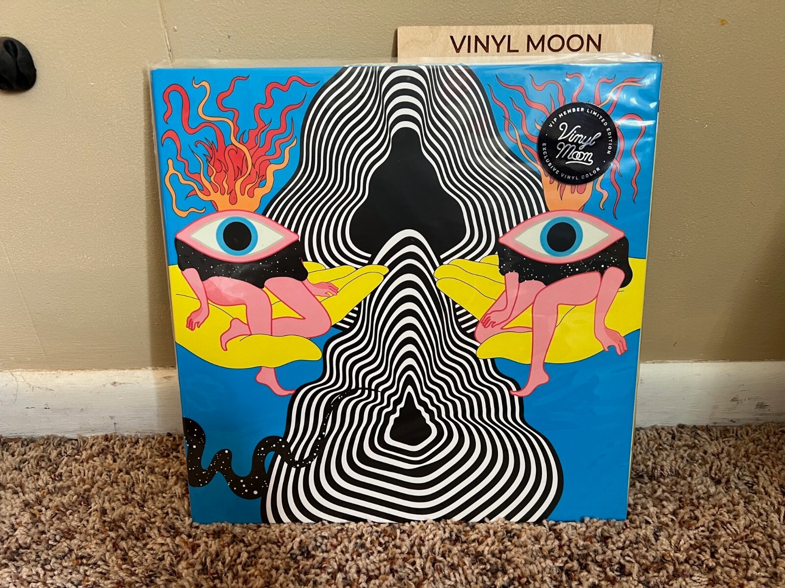 Vinyl Moon-Where Art & Music Meet. Record. Vinyl. Special Editions. Collectible.