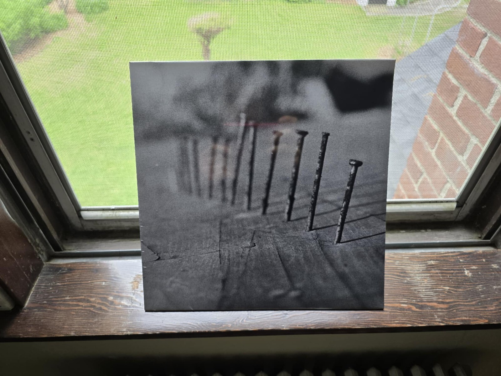 Blind Seagull Nails LP Vinyl Post Punk Record Russia Molchat Doma Joy Division