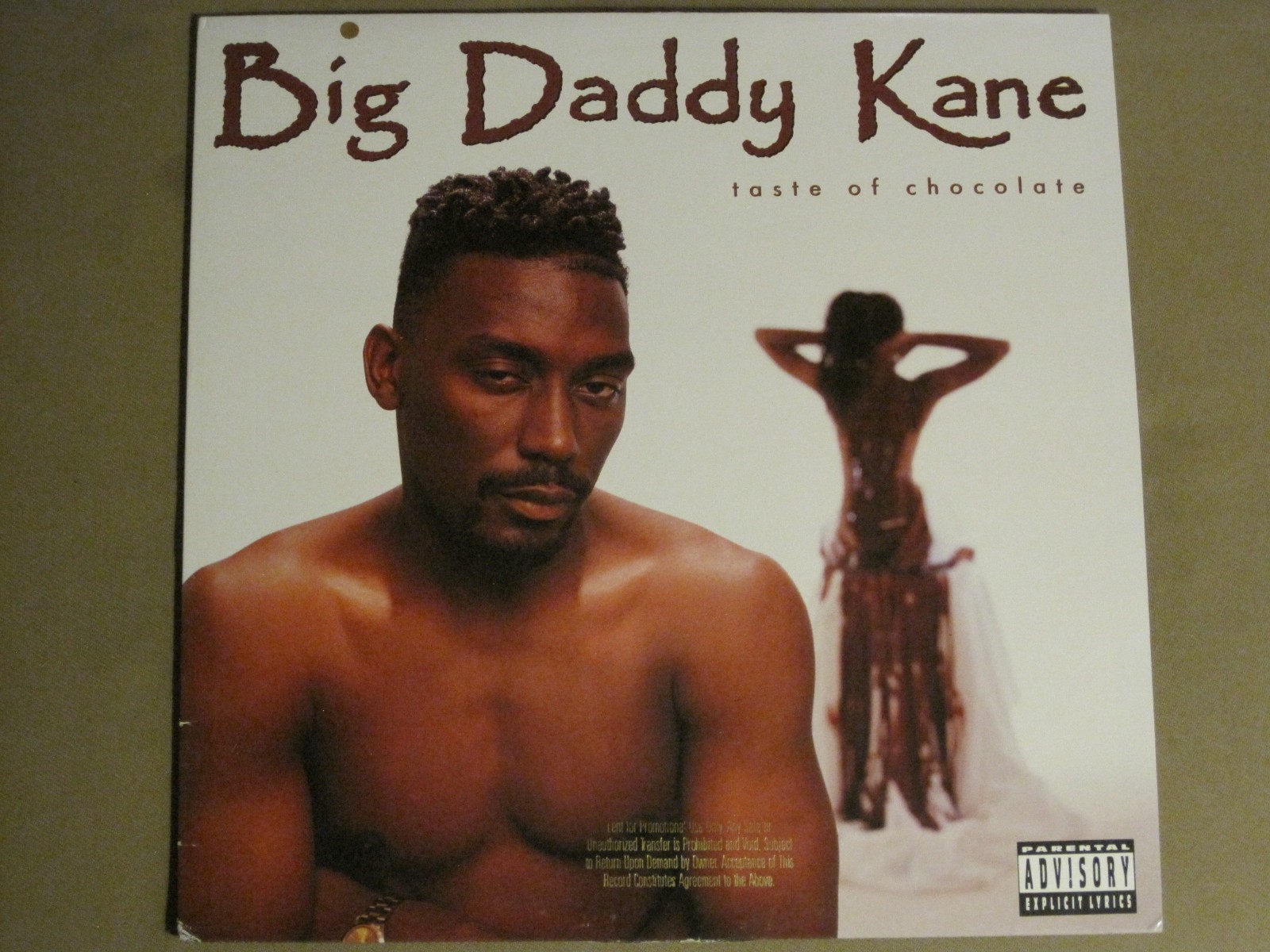 BIG DADDY KANE TASTE OF CHOCOLATE LP ORIG 1990 COLD CHILLIN’ 1-26303 PROMO MINT-