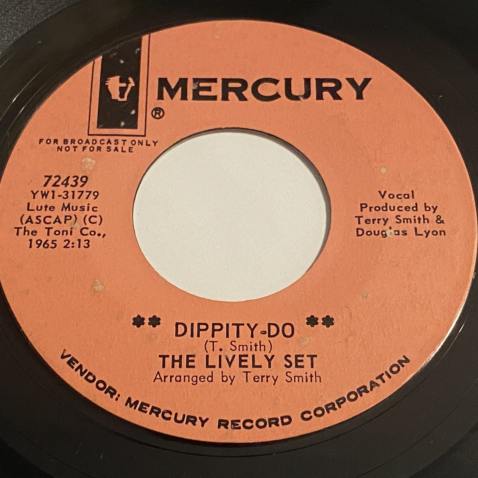 The Lively Set: Dippity-Do / Try To Remember 45 – Mercury – Garage Pop
