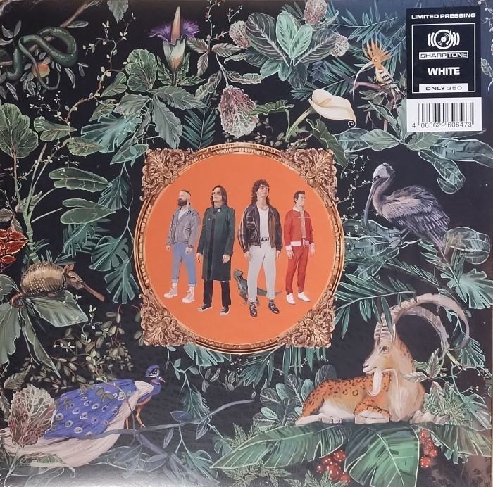 NEW Don Broco AMAZING THINGS ( LIMITED #350 ) Cellophane, Endorphins, Gumshield