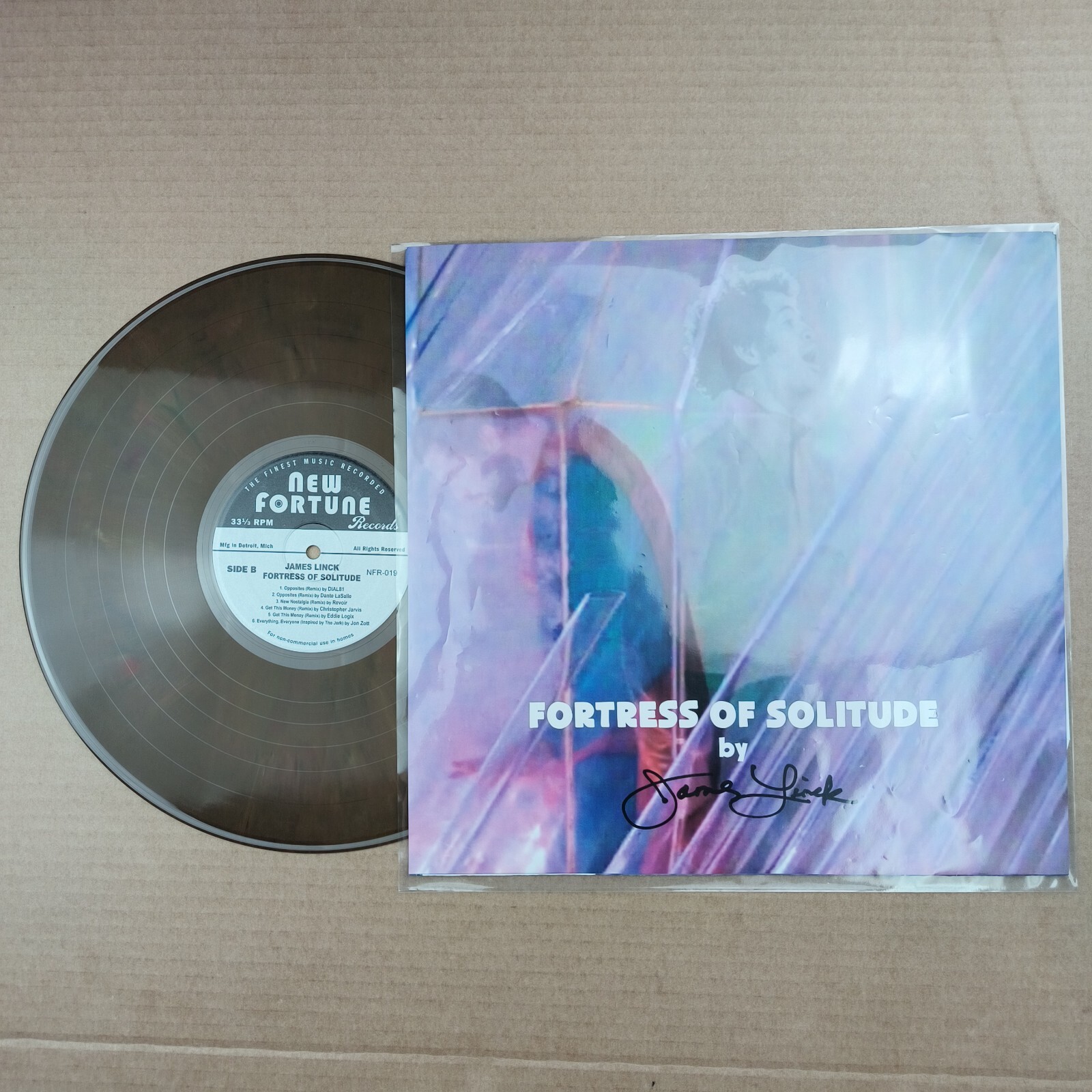 Fortress Of Solitude By James Linck New Fortune Records Brown Colored Vinyl