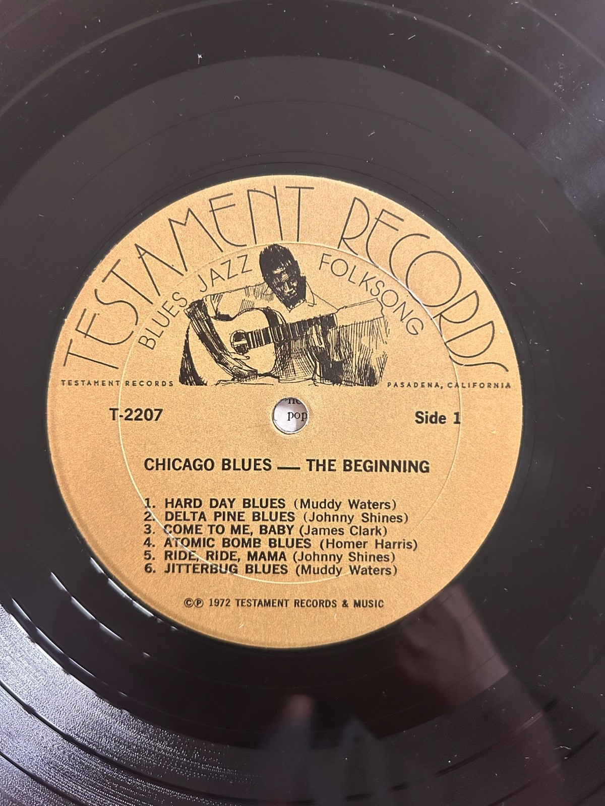 Chicago Blues – The Beginning, Chicago Blues Compilation on Testament – LP