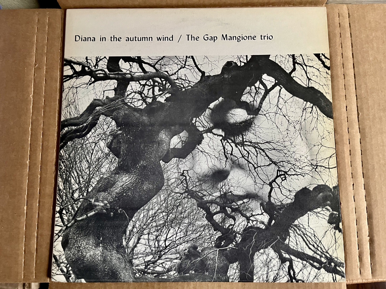 The Gap Mangione trio “Diana in the autumn wind” OG ’68 Jazz / J Dilla Sample LP