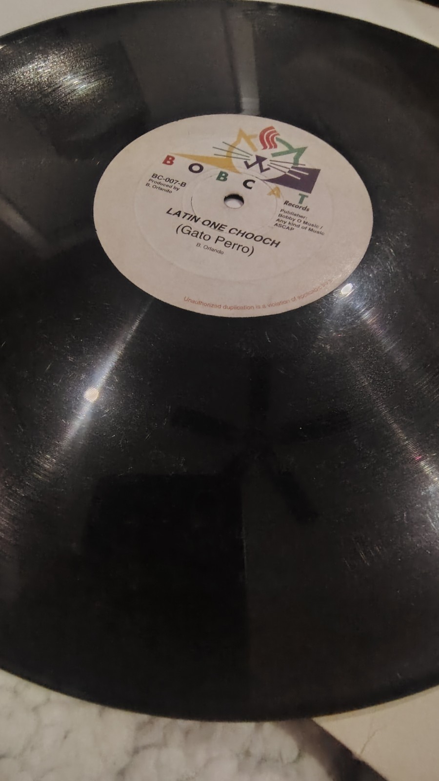 Latin One – Chooch gato Perro Disco High Energy Italo Electro Polymarchs G+