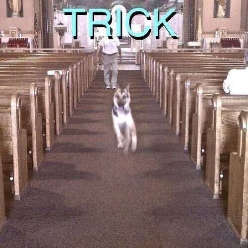 Alex G – Trick -1LP/7in Vinyl Record