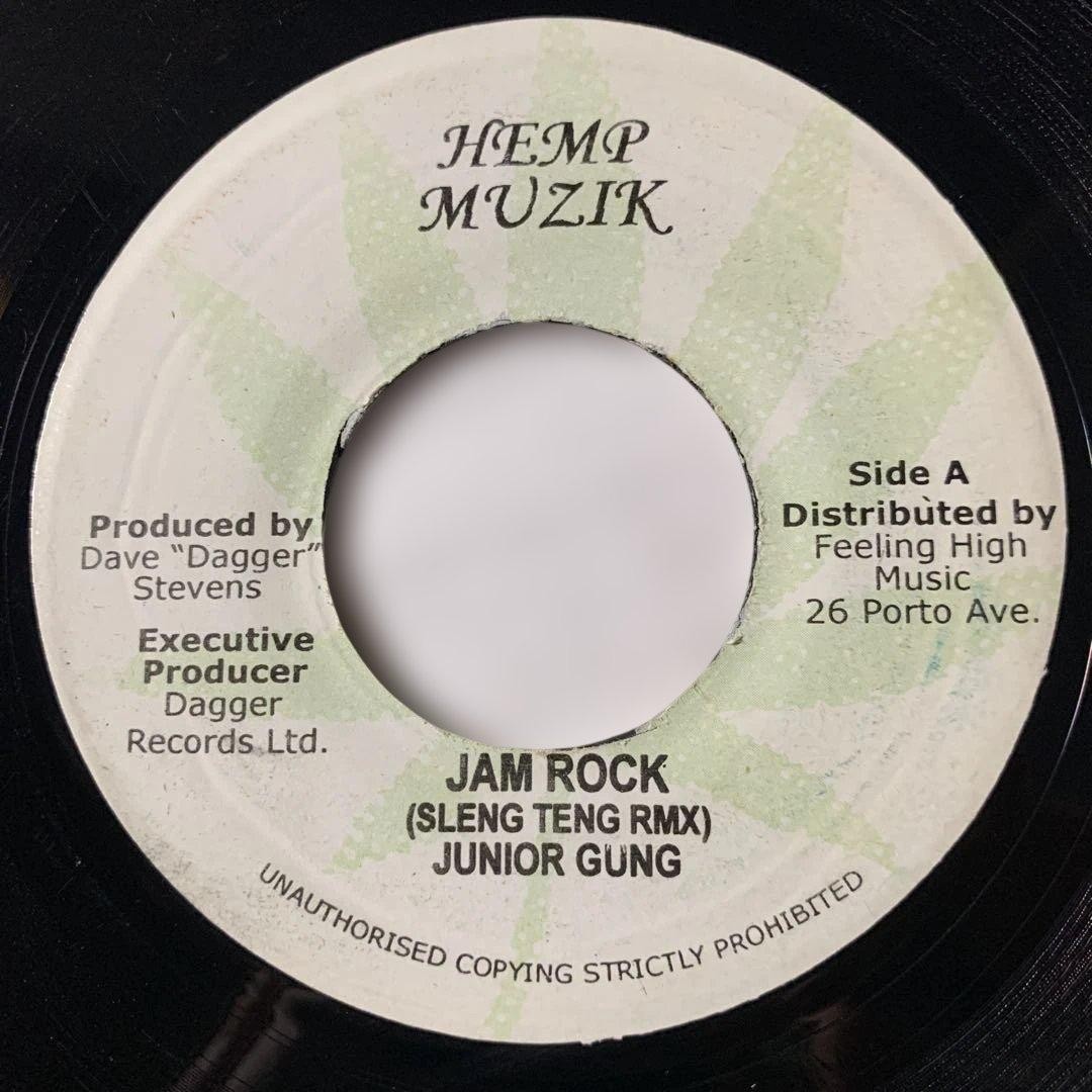 Junior Gong Damian Marley Jam Rock Sleng Teng Reggae 7″ Vinyl Record