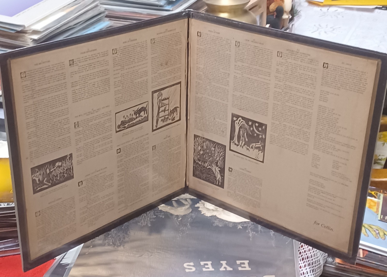 Bright Eyes Vinyl Collection | Original 2002 Saddle Creek First Pressings | Lift