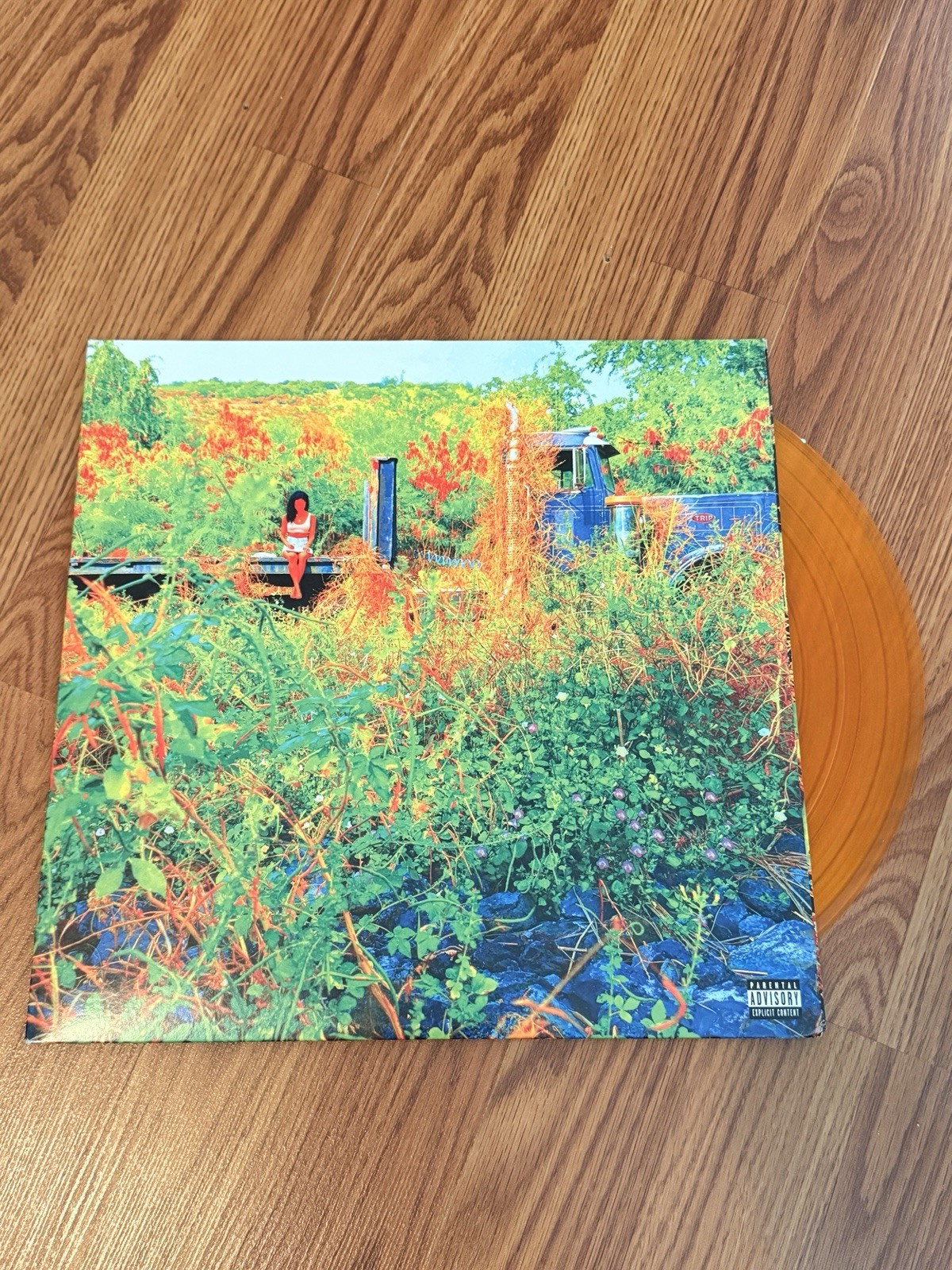 Jhene Aiko – TRIP Vinyl (Translucent Orange Urban Outfitters) RARE LIMITED