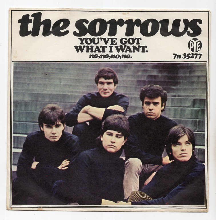 The SORROWS * 1965 MOD BEAT FREAKBEAT GARAGE UK 45 * Don Fardon * Listen!