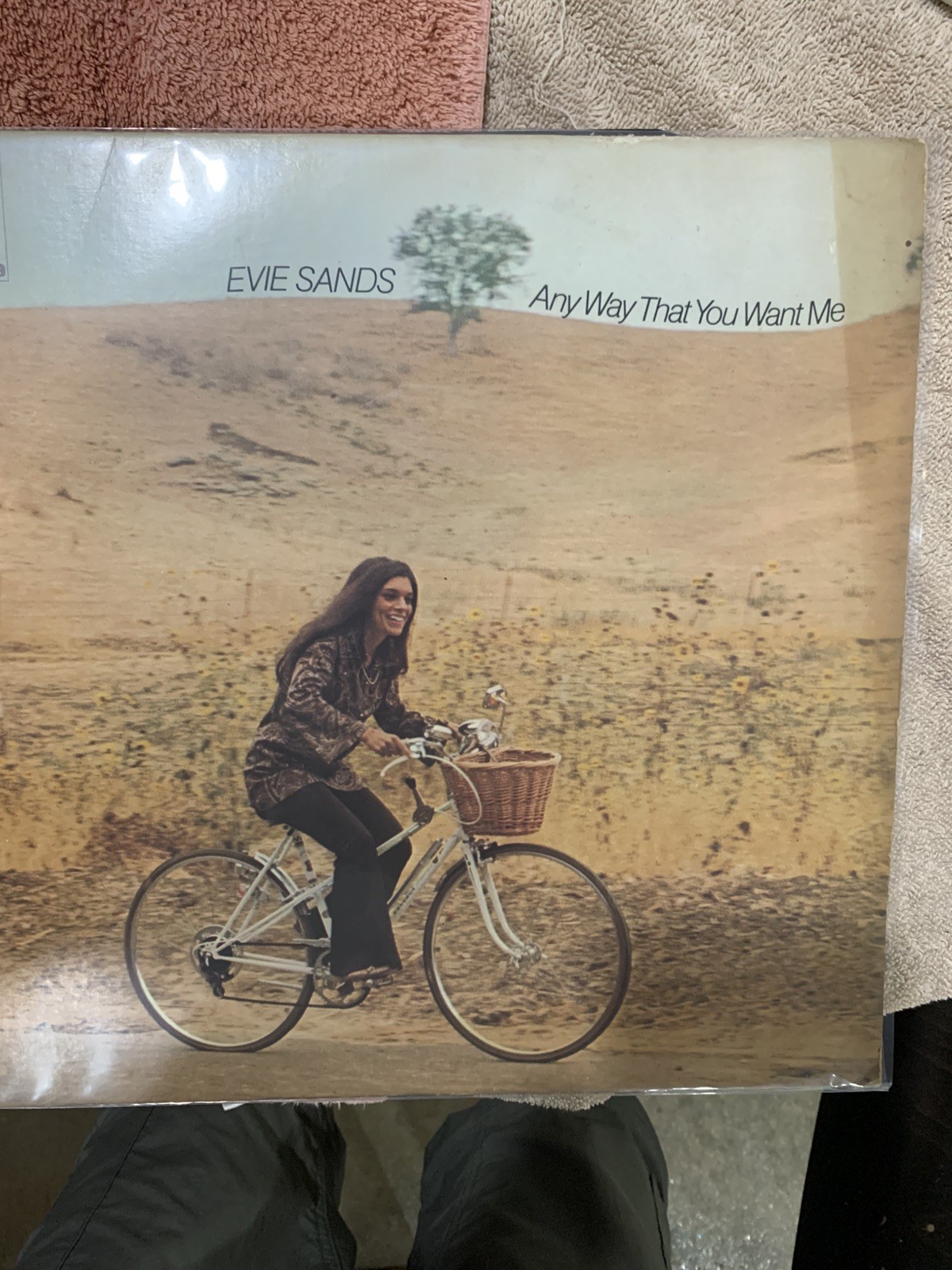 EVIE SANDS: any way that you want me A&M Records 12″ LP 33 RPM