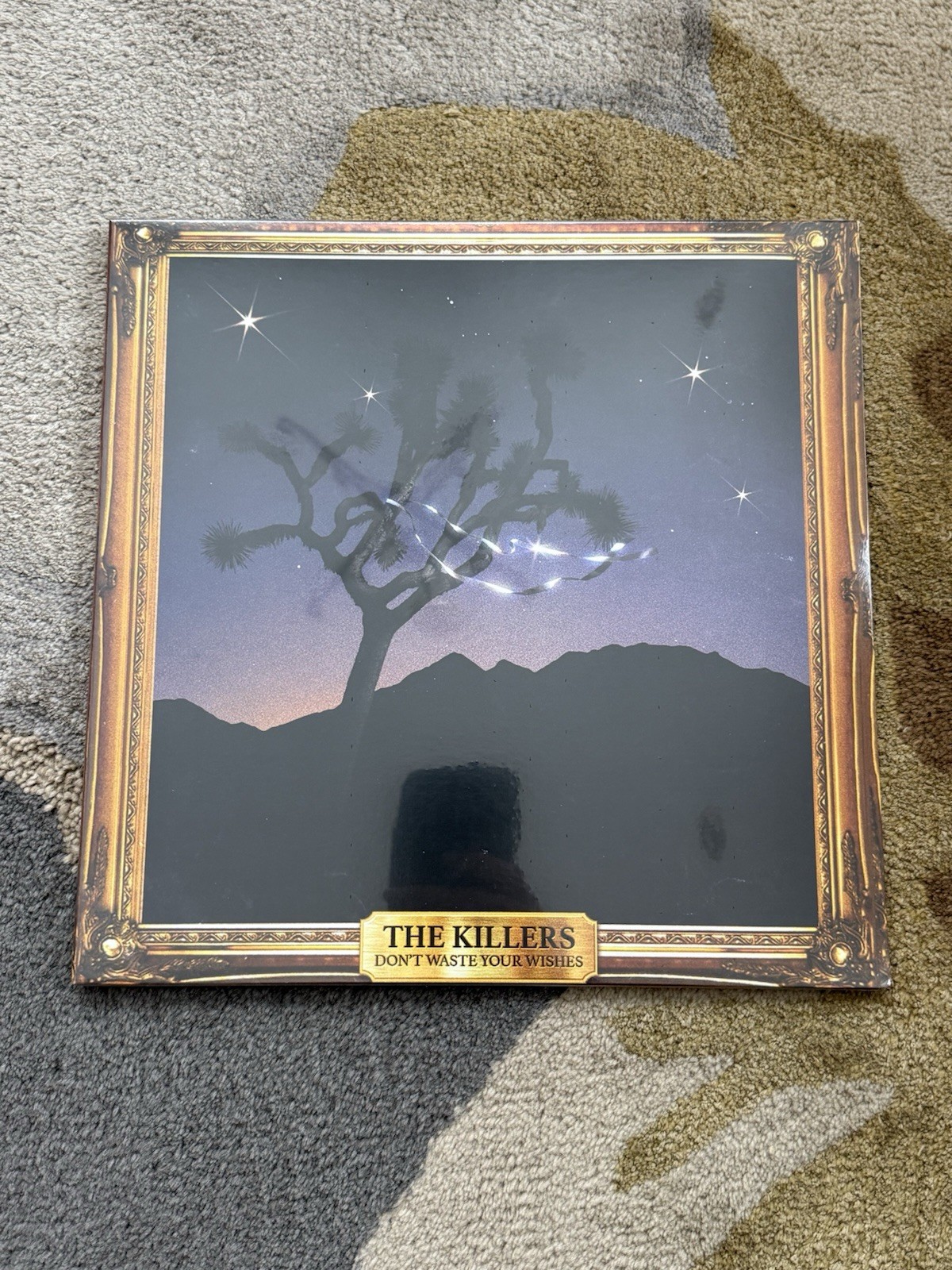 The Killers DON’T WASTE YOUR WISHES (D2C) LP Vinyl SEALED IN HAND SHIPS NOW