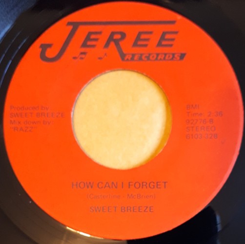 Sweet Breeze – You Did (7″) (Good Plus (G+)) – 4241509596