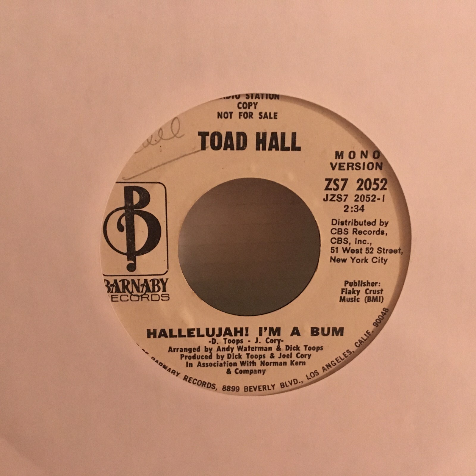 TOAD HALL 45 . HALLELUJAH ! I,M A BUM ( PROMO )